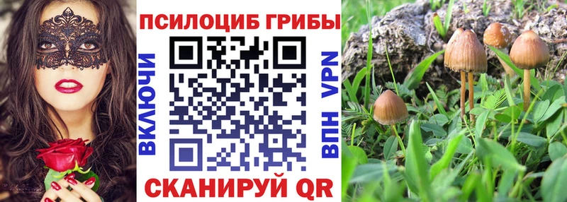 Галлюциногенные грибы Psilocybine cubensis  Алагир 