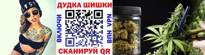 Конопля Amnesia  где найти   Алагир 